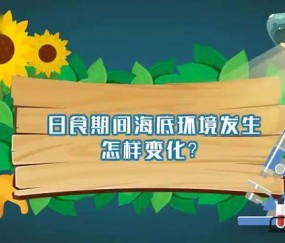 本泽马金球奖赛季，皇马欧冠夺冠核心